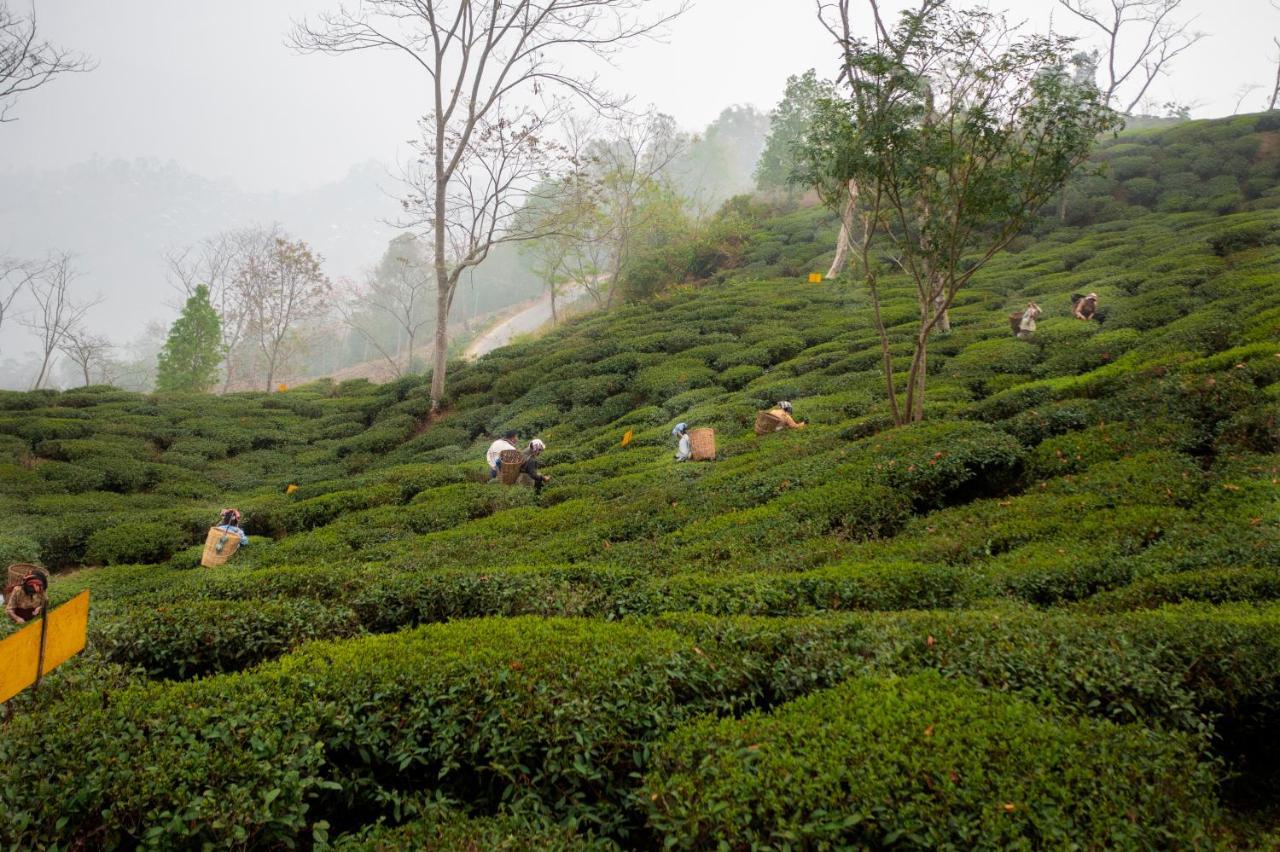 Ama Stays & Trails Puttabong Cottage, Darjeeling Darjeeling  Ngoại thất bức ảnh